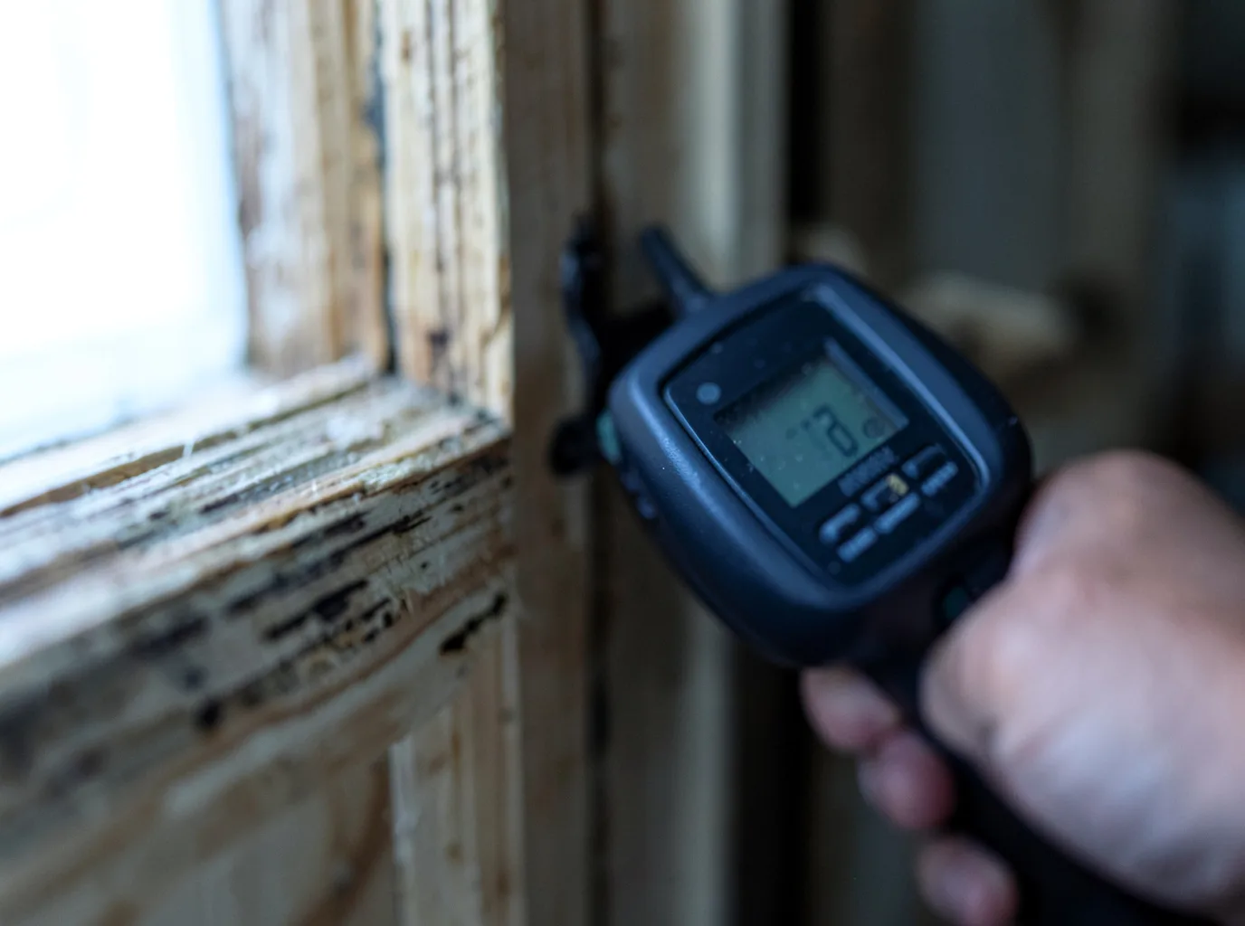 Moisture Inspection And Documentation in Concord, VT